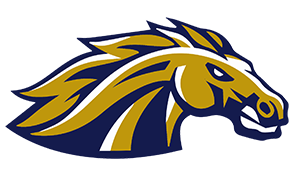 Casteel Colts Football