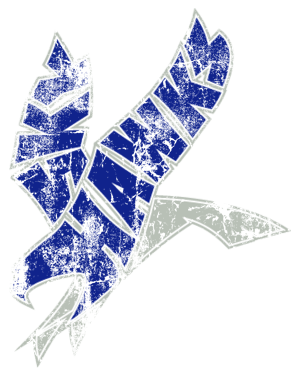 Deer Valley Sky Hawks Football