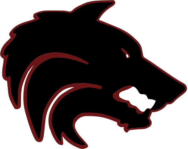 Desert Mountain Wolves Football