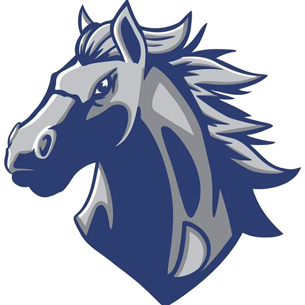 Dobson Mustangs Football