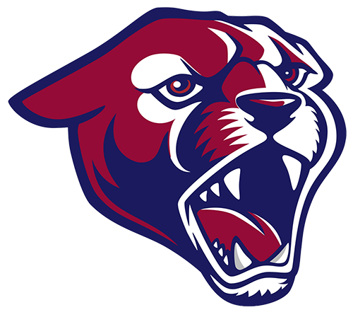 Perry Pumas Football