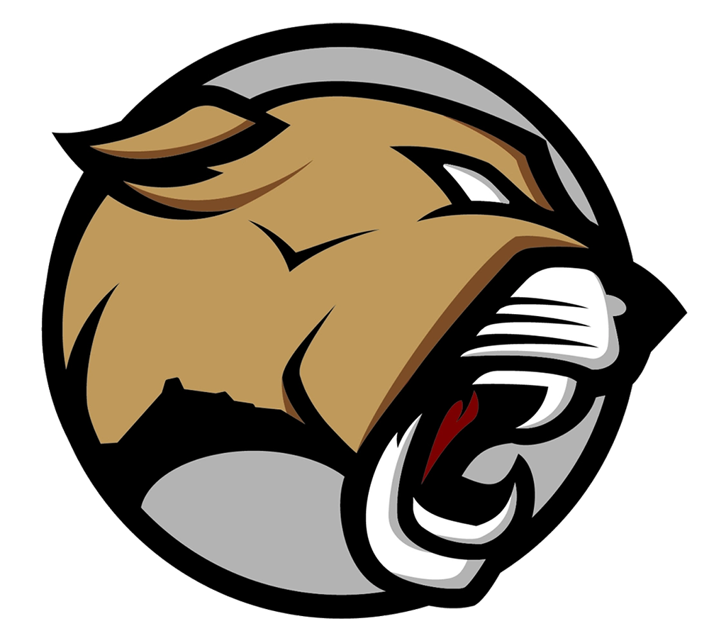 Red Mountain Mountain Lions Football