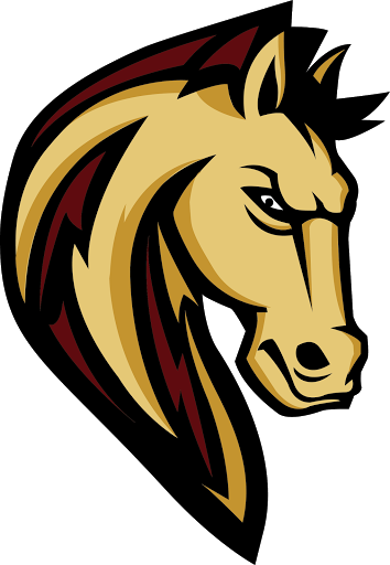 Shadow Ridge Stallions Football